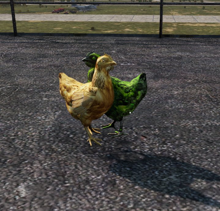 ITABlood Crazy Chicken — Golden Hen e Toxic Hen